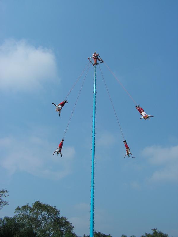 7336 Los Voladores 